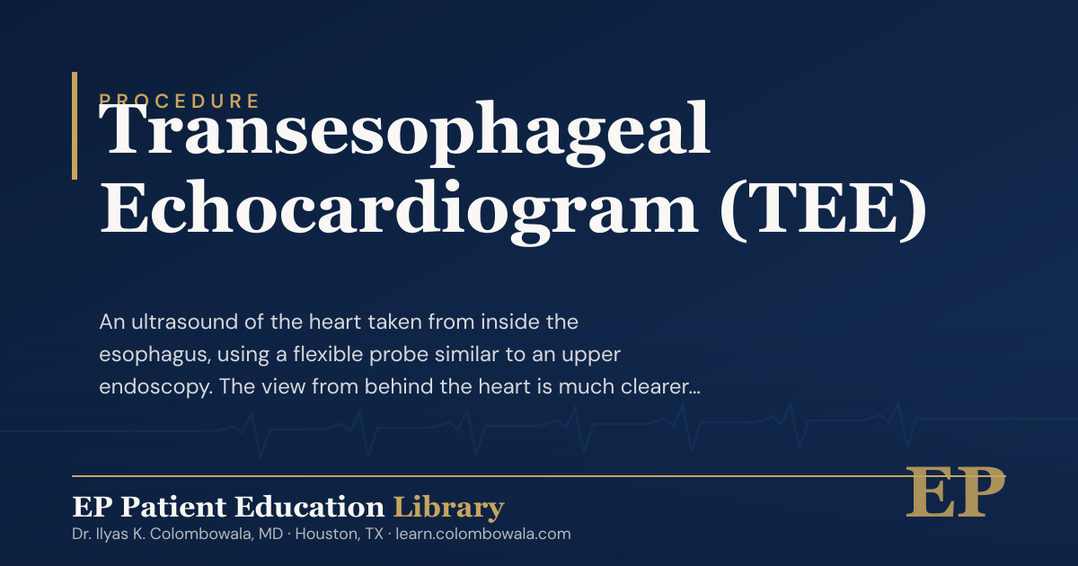 Transesophageal Echocardiogram (TEE) · EP Patient Education Library